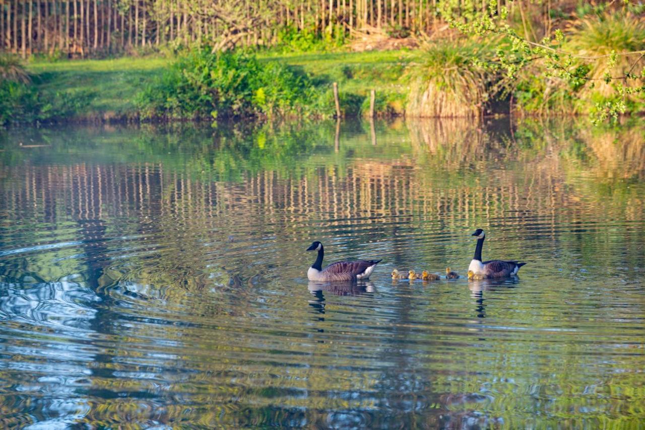 Beautiful Willow Lodge 67-4-6 Persons-Private Hot Tub-Pet Friendly-Tranquil Holiday Away From It All Yet Not Far To St Austell-The Holiday Home Has Two Bedrooms, Living & Dining Area, Equipped Kitchen -Decking-Al Fresco Dining-Fishing Lakes-Pet Frien Grampound Экстерьер фото